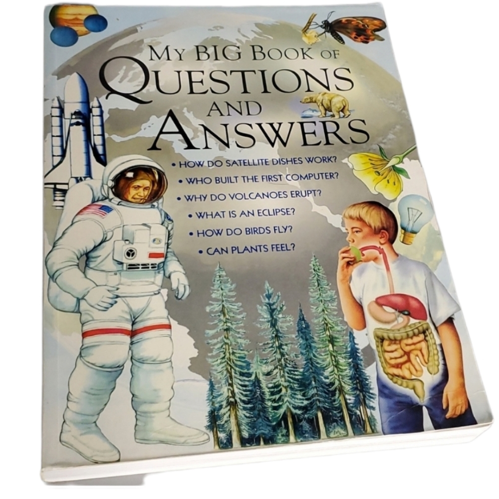 The Big Book Of Questions And Answers 2008 edition